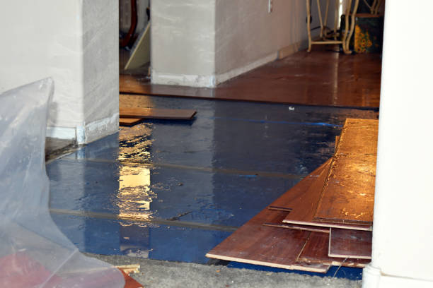 Professional Water Extraction technician working in Roscoe, TX